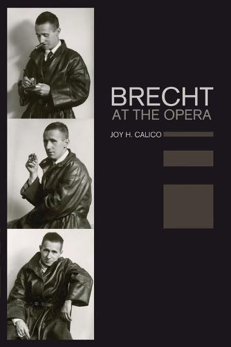 Cover image for Brecht at the Opera