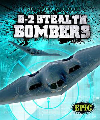 Cover image for B-2 Stealth Bombers