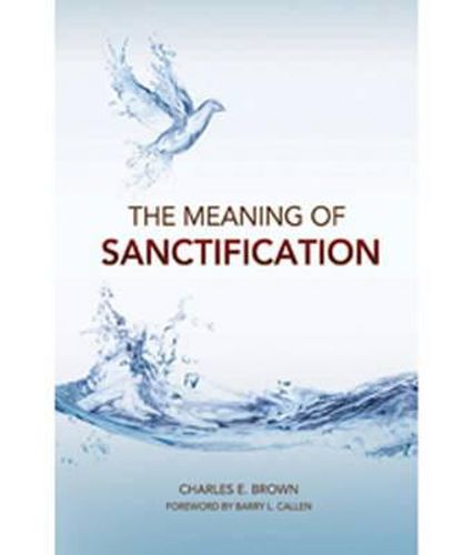 Cover image for The Meaning of Sanctification