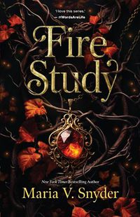 Cover image for Fire Study