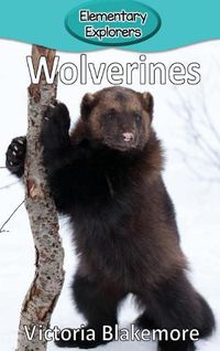 Cover image for Wolverines