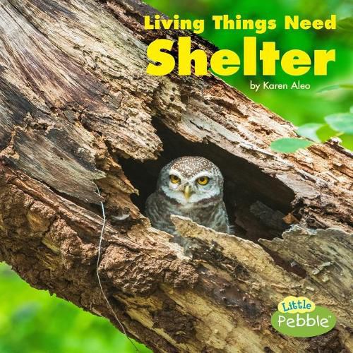 Cover image for Living Things Need Shelter