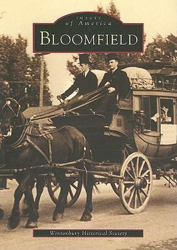 Cover image for Bloomfield