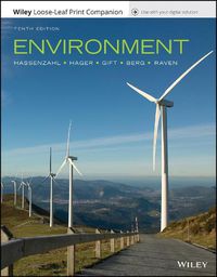 Cover image for Environment