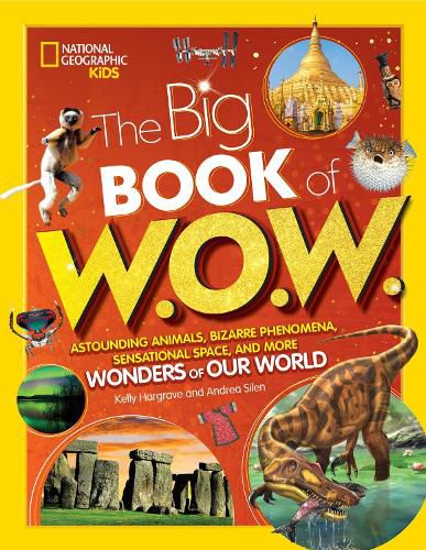 Cover image for Big Book of W.O.W.