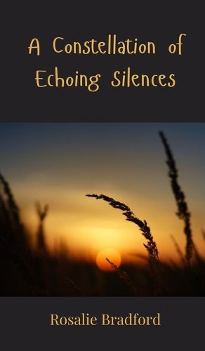 Cover image for A Constellation of Echoing Silences