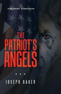 Cover image for The Patriot's Angels