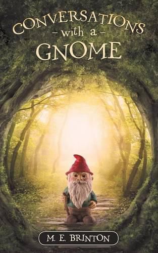 Cover image for Conversations with a Gnome