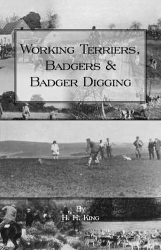 Cover image for Working Terriers, Badgers and Badger Digging (History of Hunting Series)