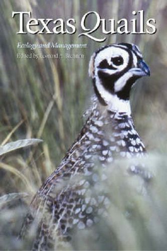 Cover image for Texas Quails: Ecology and Management