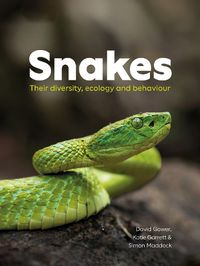 Cover image for Snakes