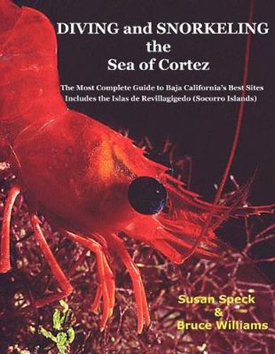 Cover image for Diving and Snorkeling the Sea of Cortez