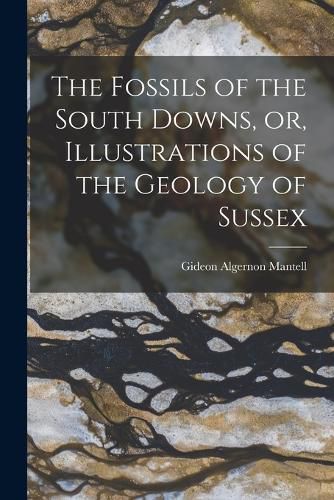 The Fossils of the South Downs, or, Illustrations of the Geology of Sussex