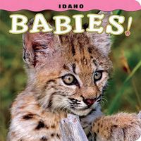 Cover image for Idaho Babies!