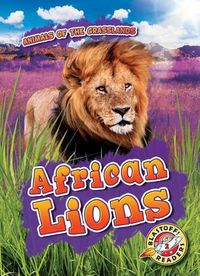 Cover image for African Lions