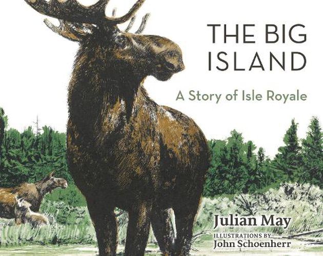 Cover image for The Big Island: A Story of Isle Royale