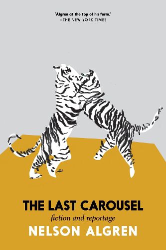 Cover image for The Last Carousel