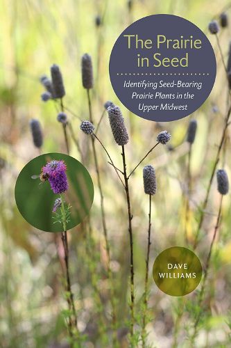 Cover image for The Prairie in Seed: Identifying Seed-Bearing Prairie Plants in the Upper Midwest