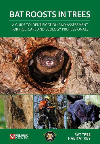 Cover image for Bat Roosts in Trees: A Guide to Identification and Assessment for Tree-Care and Ecology Professionals