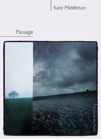 Cover image for Passage