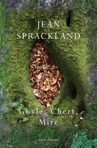 Cover image for Goyle, Chert, Mire