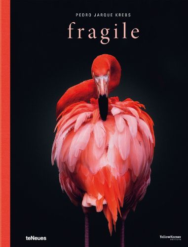 Cover image for Fragile