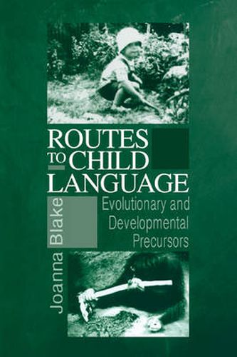 Cover image for Routes to Child Language: Evolutionary and Developmental Precursors