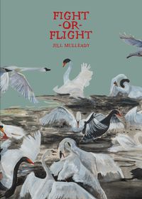 Cover image for Jill Mulleady: Fight or Flight