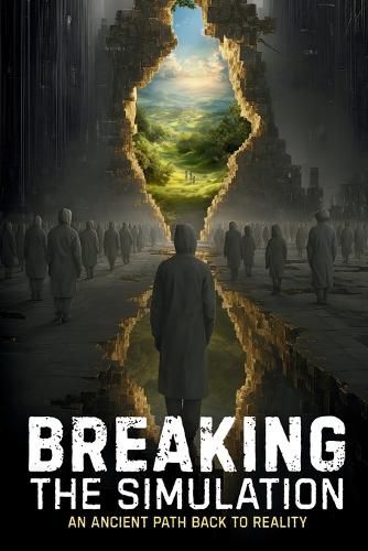 Cover image for Breaking the Simulation