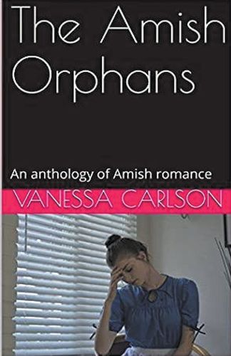 Cover image for The Amish Orphans