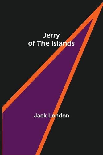 Cover image for Jerry of the Islands