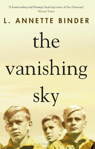 Cover image for The Vanishing Sky