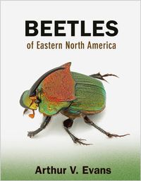 Cover image for Beetles of Eastern North America