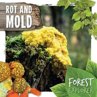 Cover image for Rot and Mold