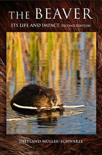 Cover image for The Beaver: Natural History of a Wetlands Engineer