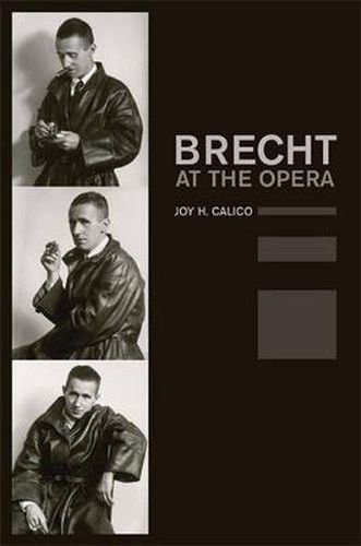 Cover image for Brecht at the Opera