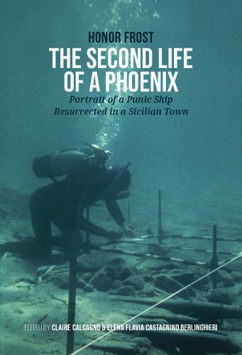Cover image for The Second Life of a Phoenix