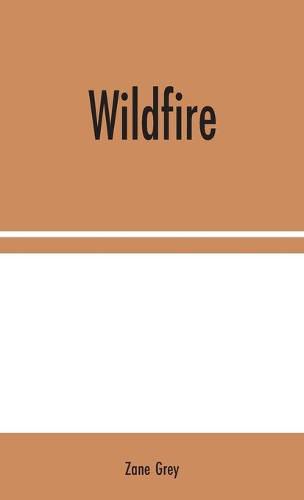 Cover image for Wildfire