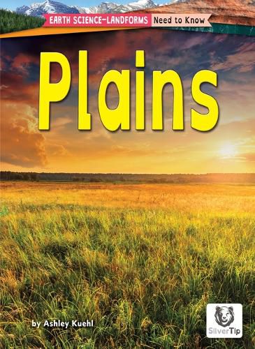 Cover image for Plains