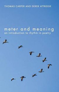 Cover image for Meter and Meaning: An Introduction to Rhythm in Poetry