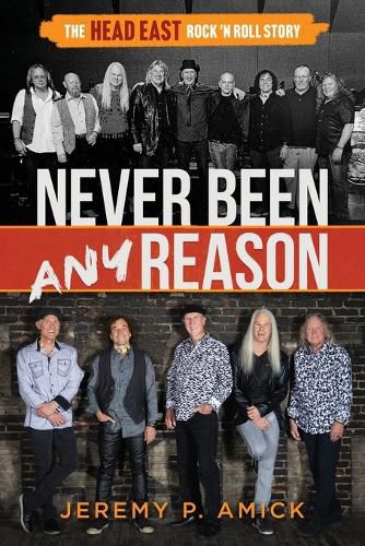 Cover image for Never Been Any Reason