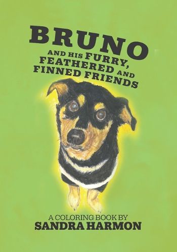 Cover image for Bruno and His Furry, Feathered, and Finned Friends