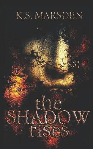 Cover image for The Shadow Rises