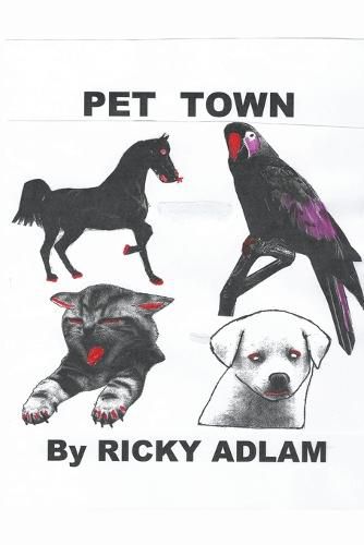 Cover image for Pet Town