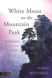 Cover image for White Moon on the Mountain Peak: The Alchemical Firing Process of Nei Dan