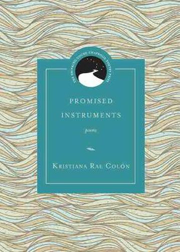 Cover image for promised instruments: poems