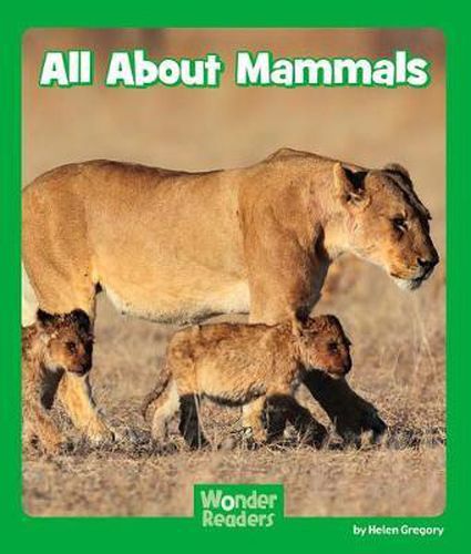 All about Mammals