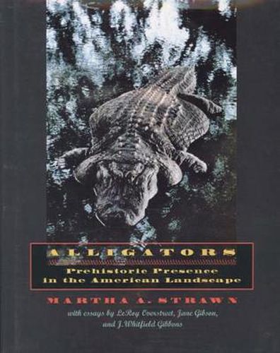 Cover image for Alligators: Prehistoric Presence in the American Landscape