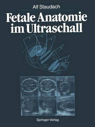 Cover image for Fetale Anatomie im Ultraschall