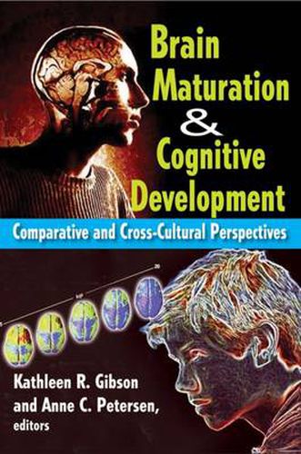 Cover image for Brain Maturation and Cognitive Development